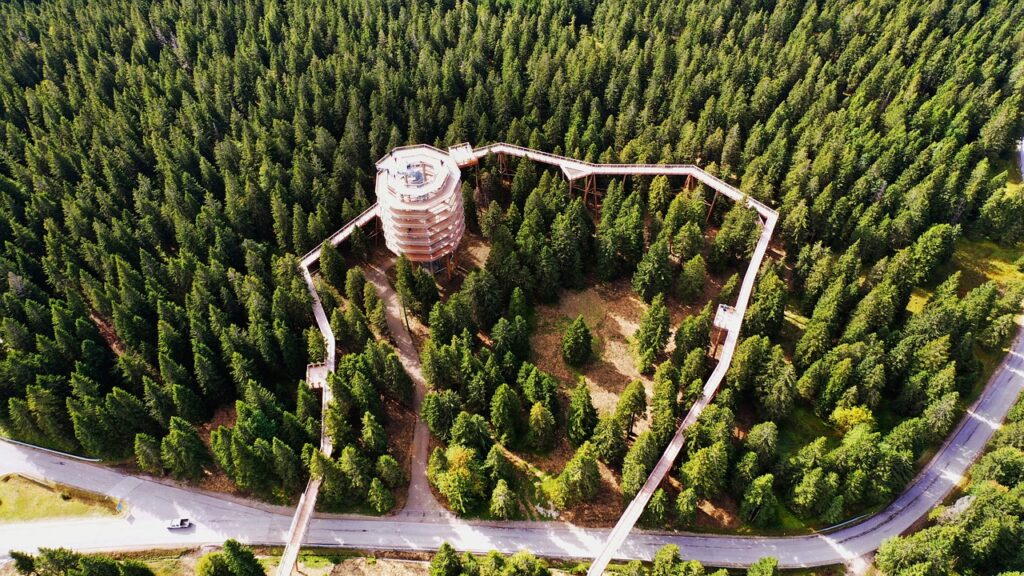 rogla, slovenia, slovenija,pot med krošnjami, aktivnosti